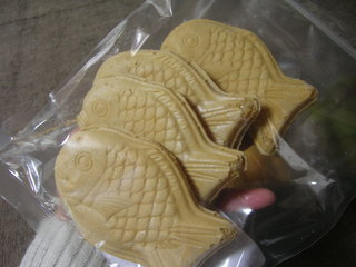 100_9515.JPG